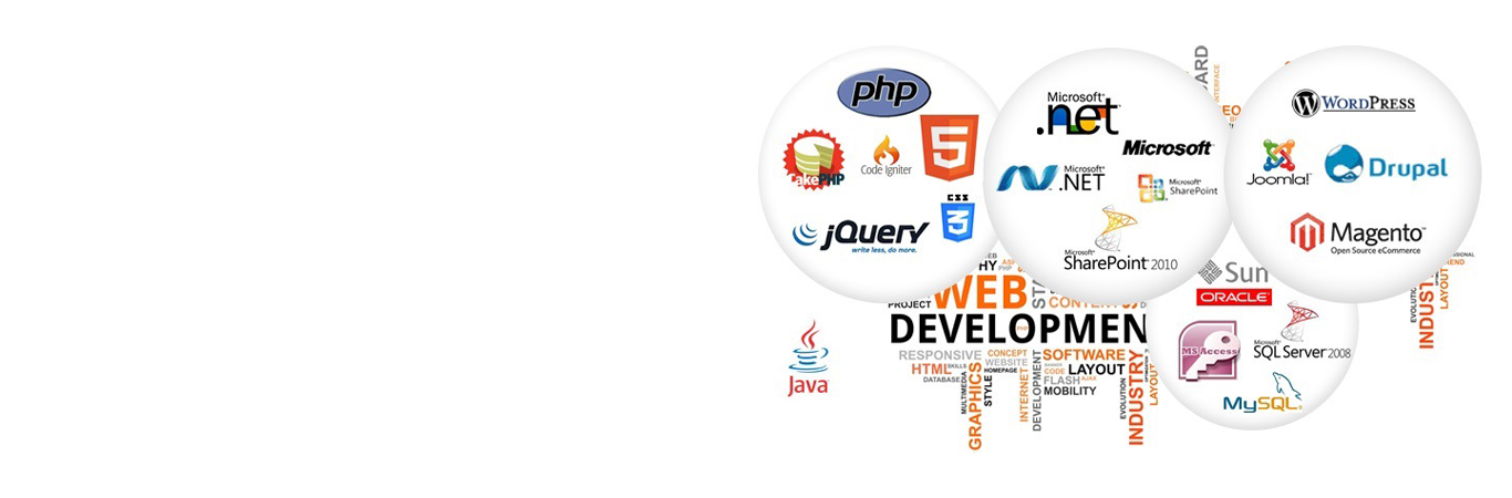 Software dev service Software dev service